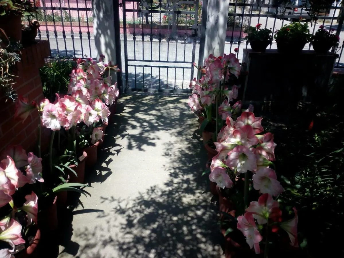 펜션 Villa Elegante Con Terrazzo E Giardino San Mauro Mare 이탈리아