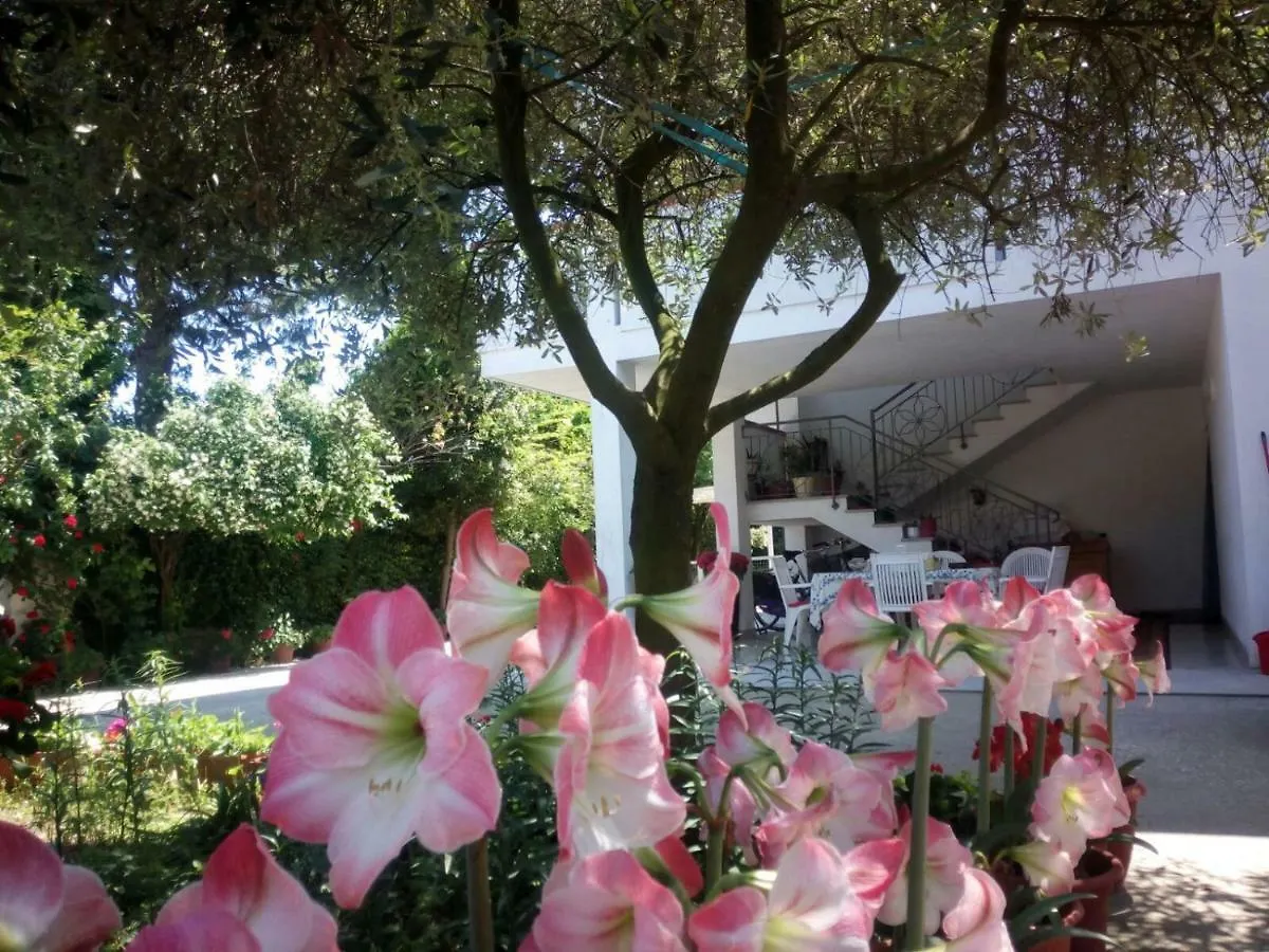 Villa Elegante Con Terrazzo E Giardino San Mauro Mare